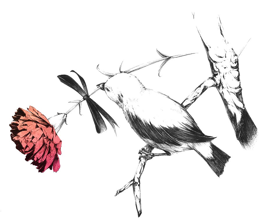 Artista: sawasawa 2
 #22806714