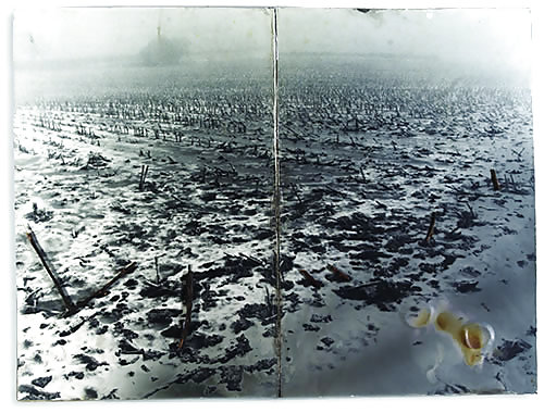 Entartete Kunst I #8373111