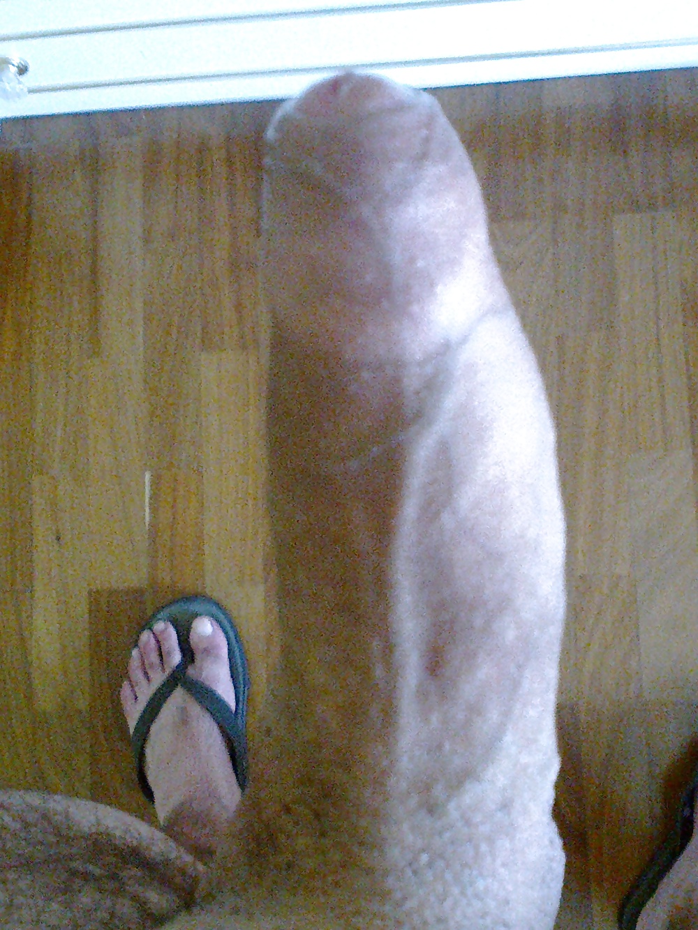 My Cock #19861718