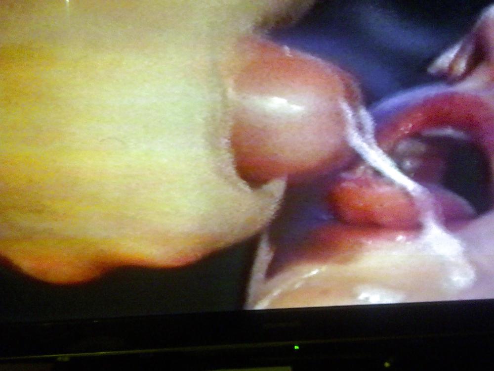 Carole's furry cunt - the magazine fuck #10016657