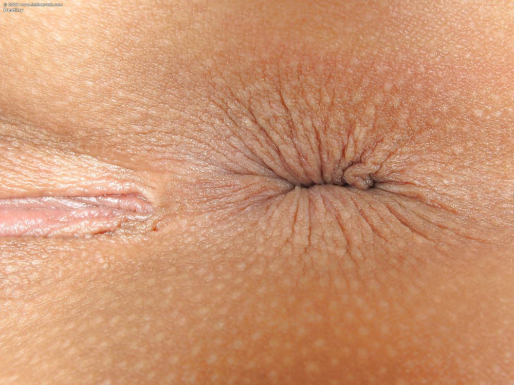Assholes That I Want In My Face 5 #10317747
