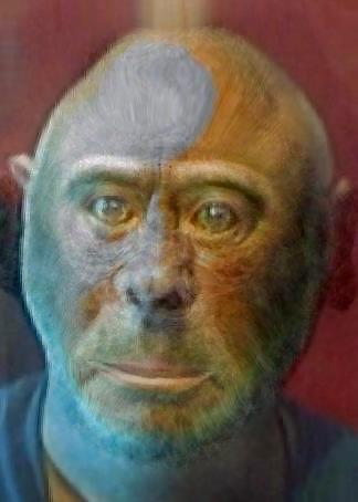 SilverBack #9765792
