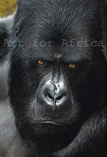 Erotical SilverBack
