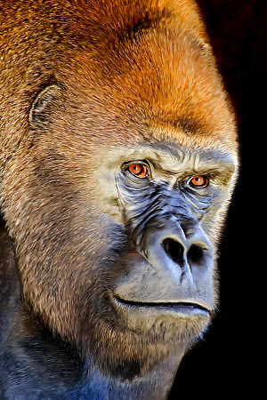 SilverBack #9765799