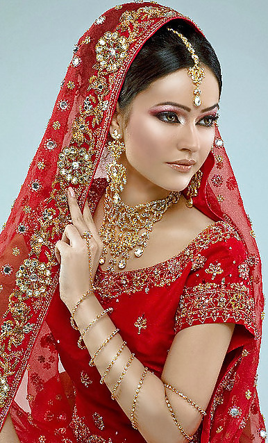 インドの花嫁
 #10503953