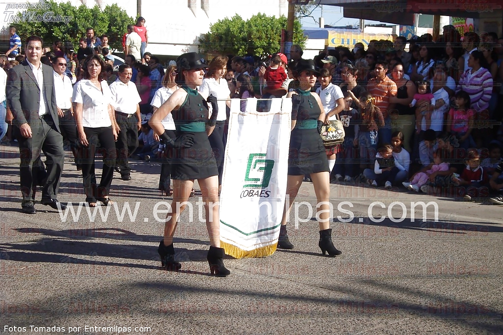 Lindas zorritas xviii
 #20203695