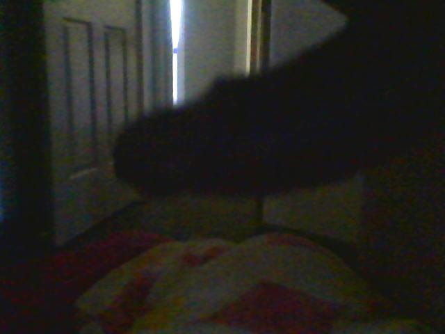 行かない写真
 #9276680