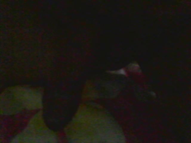 行かない写真
 #9276684