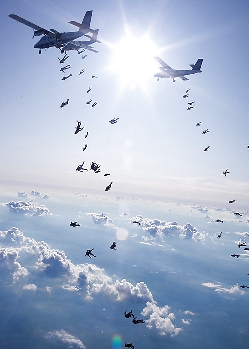 Shrimp combination of class #9621913