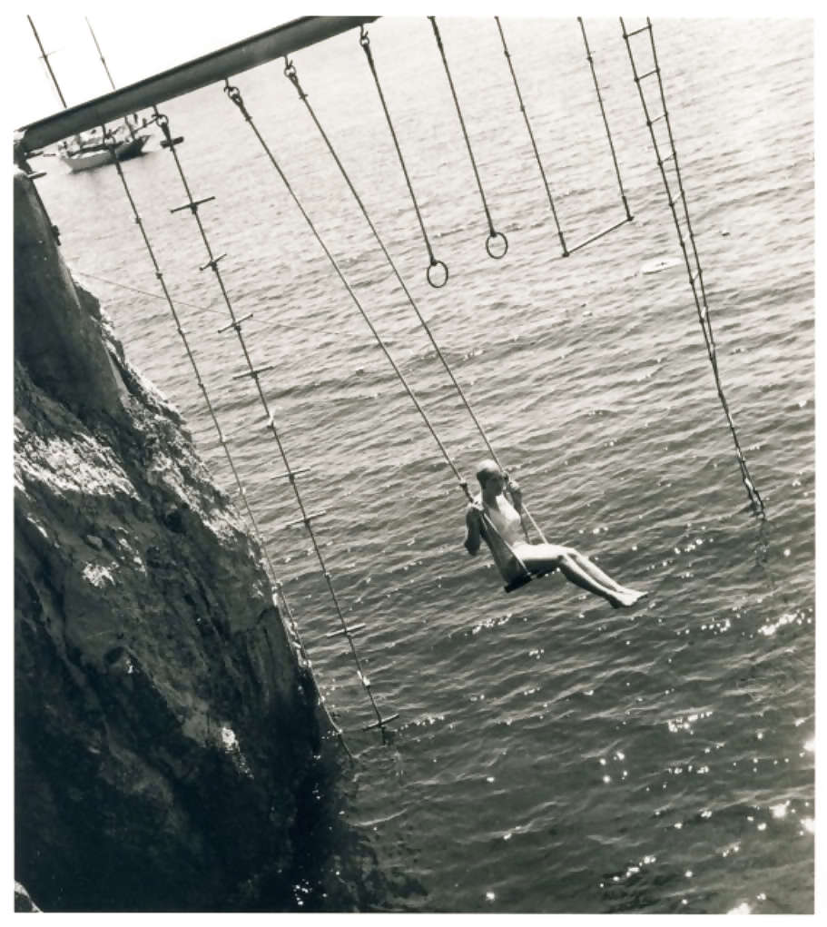 Shrimp combination of class #9621927