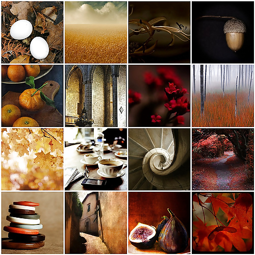 Shrimp combination of class #9621933