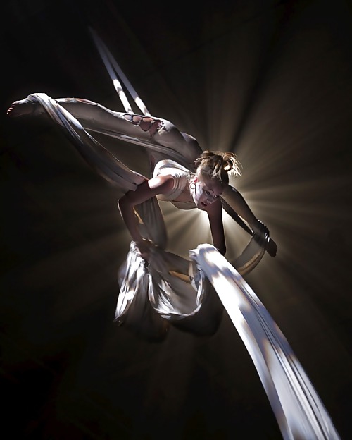 Shrimp combination of class #9621950