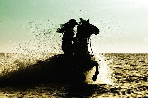 Shrimp combination of class #9621967