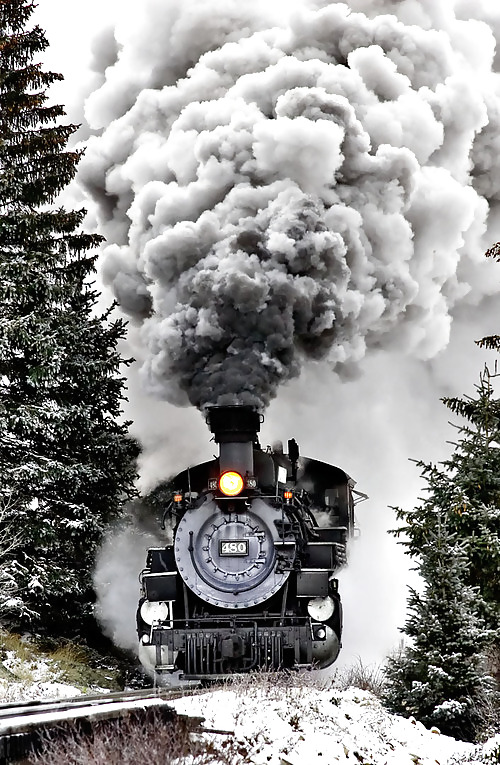 Shrimp combination of class #9621974