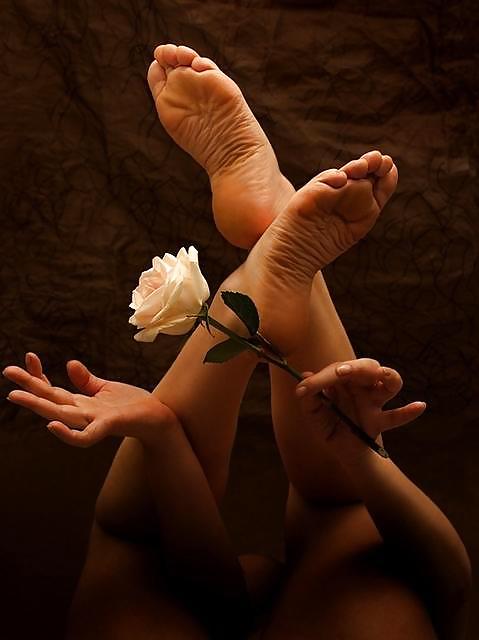 Foot #4504675