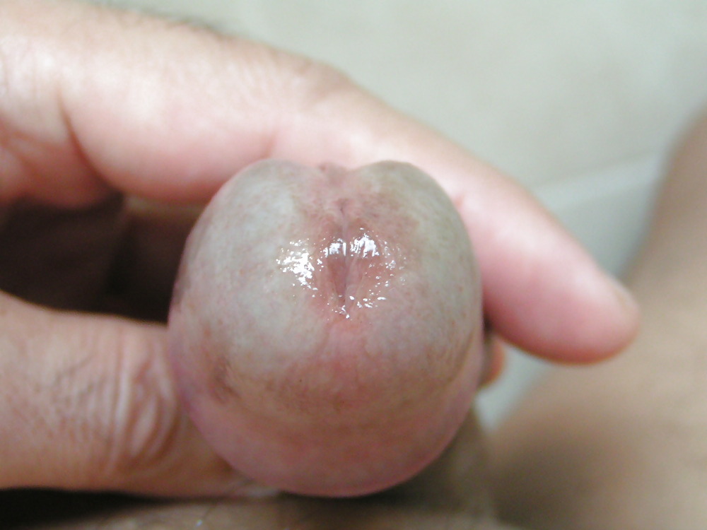 Nit pic30 #2652448