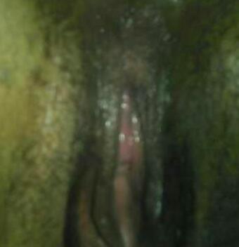 pussy #10264843