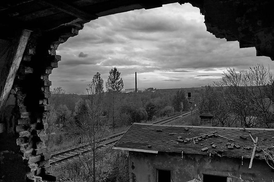 ¡Campos de juego!
 #314624