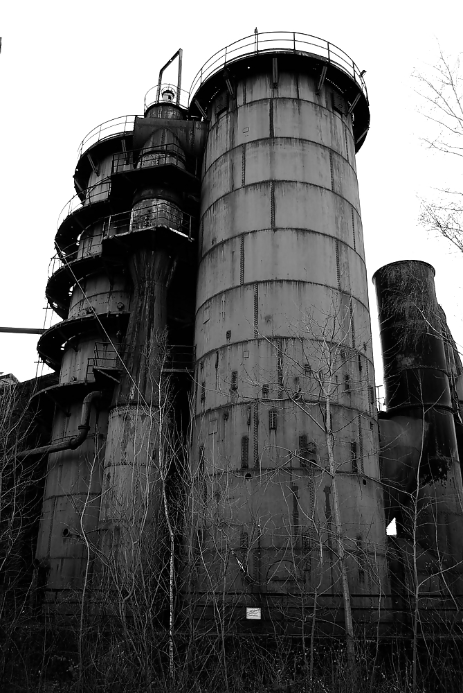 ¡Campos de juego!
 #314650