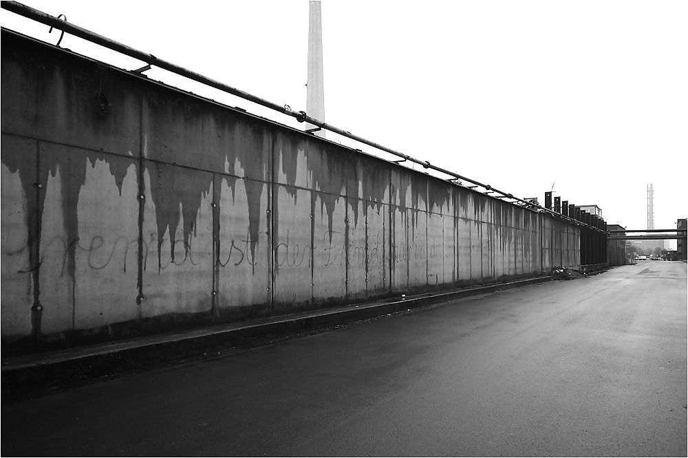 ¡Campos de juego!
 #314667