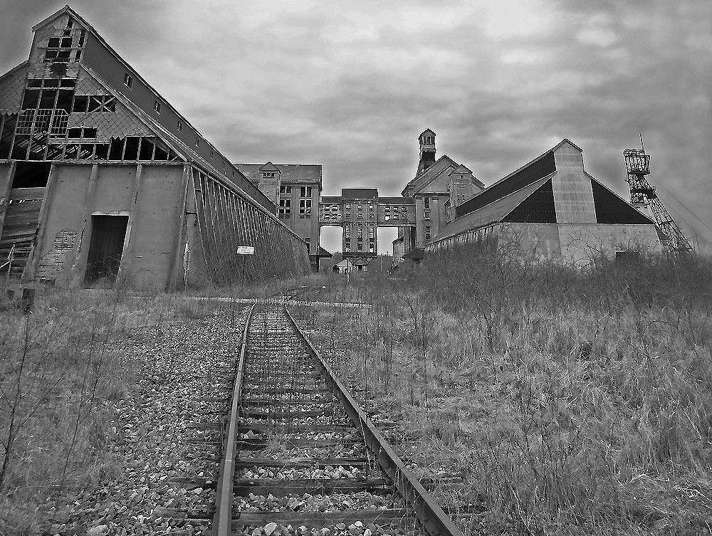 ¡Campos de juego!
 #314694