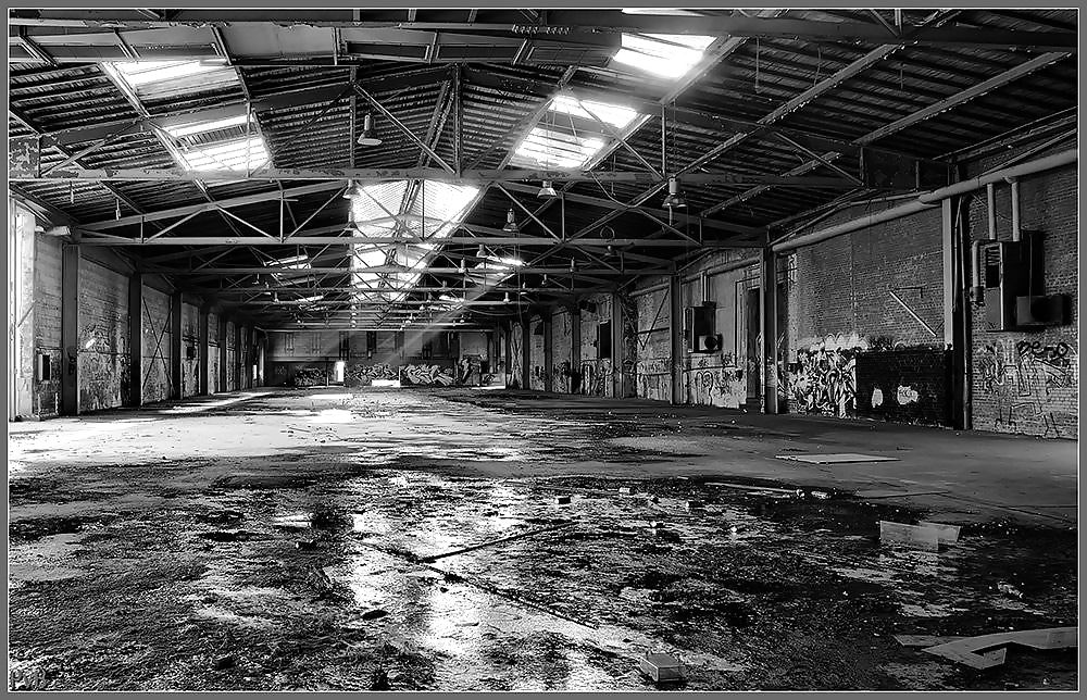 ¡Campos de juego!
 #314752