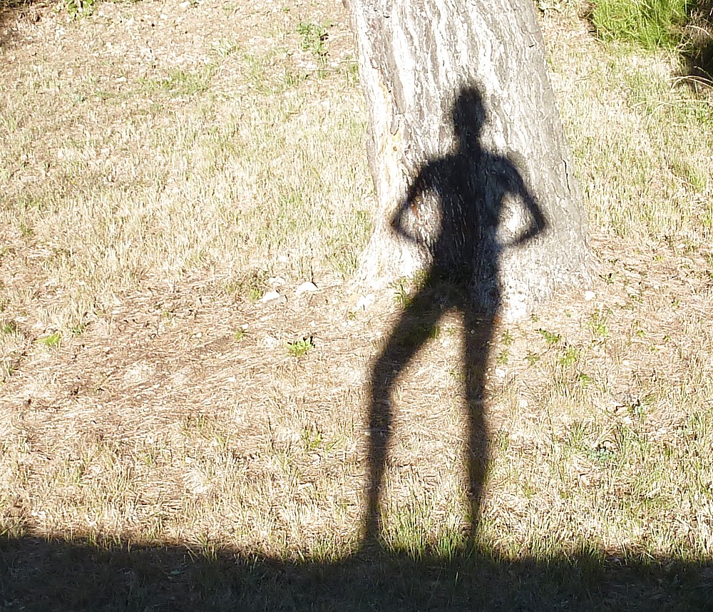 Sun and shadow #16611918