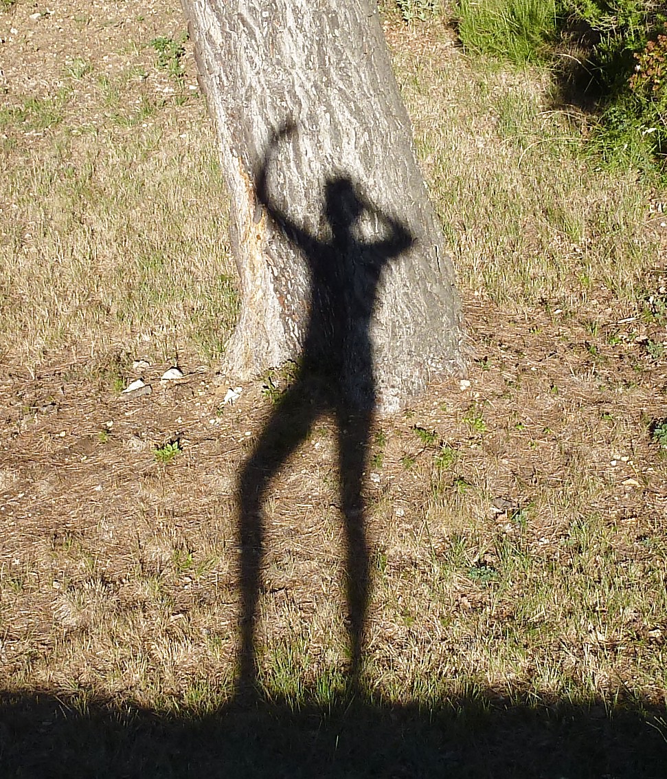 Sun and shadow #16611924