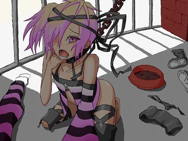 Folo - millón de caballeros bermellón
 #11640744