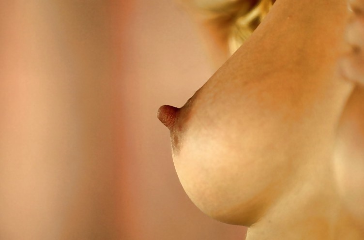 Primer plano
 #21231367