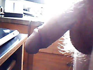 My cock #4093248