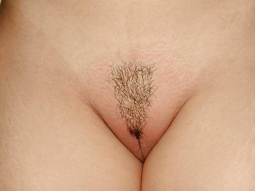Pussy #4456974