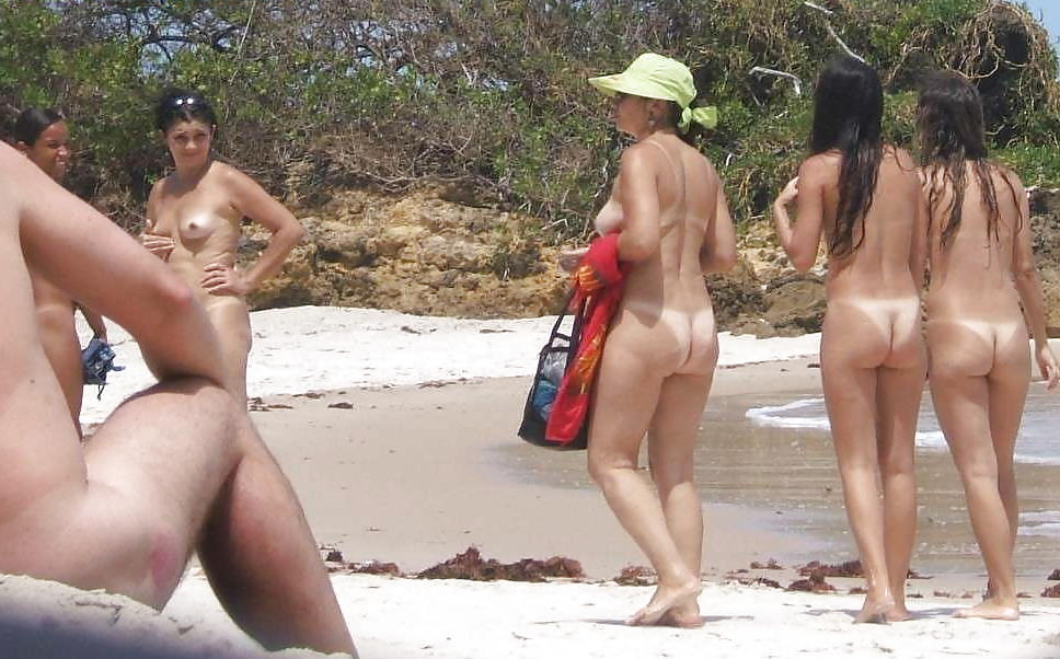 Barboni nudi sulla spiaggia
 #1309792