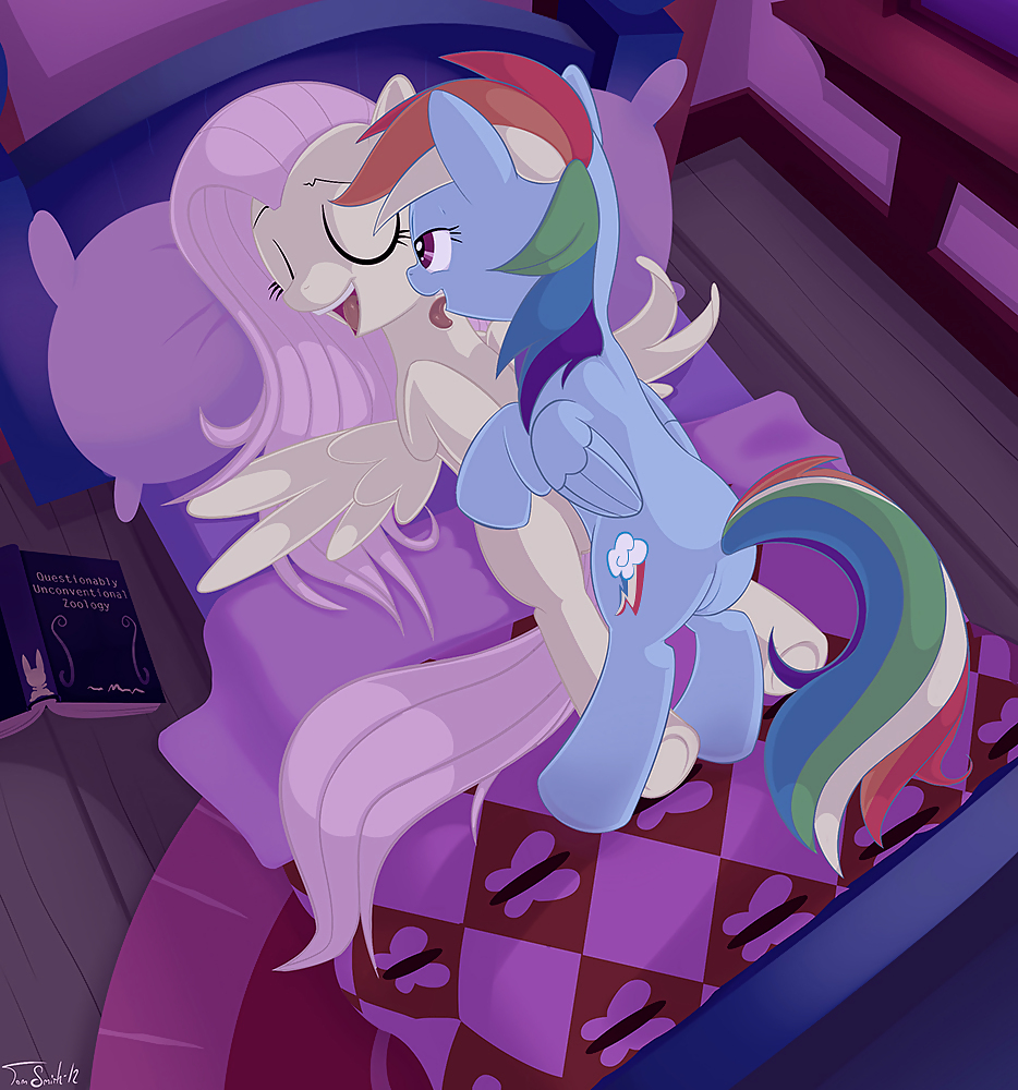 MLP # 11 #17434285