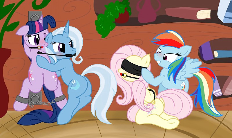 MLP # 11 #17434407