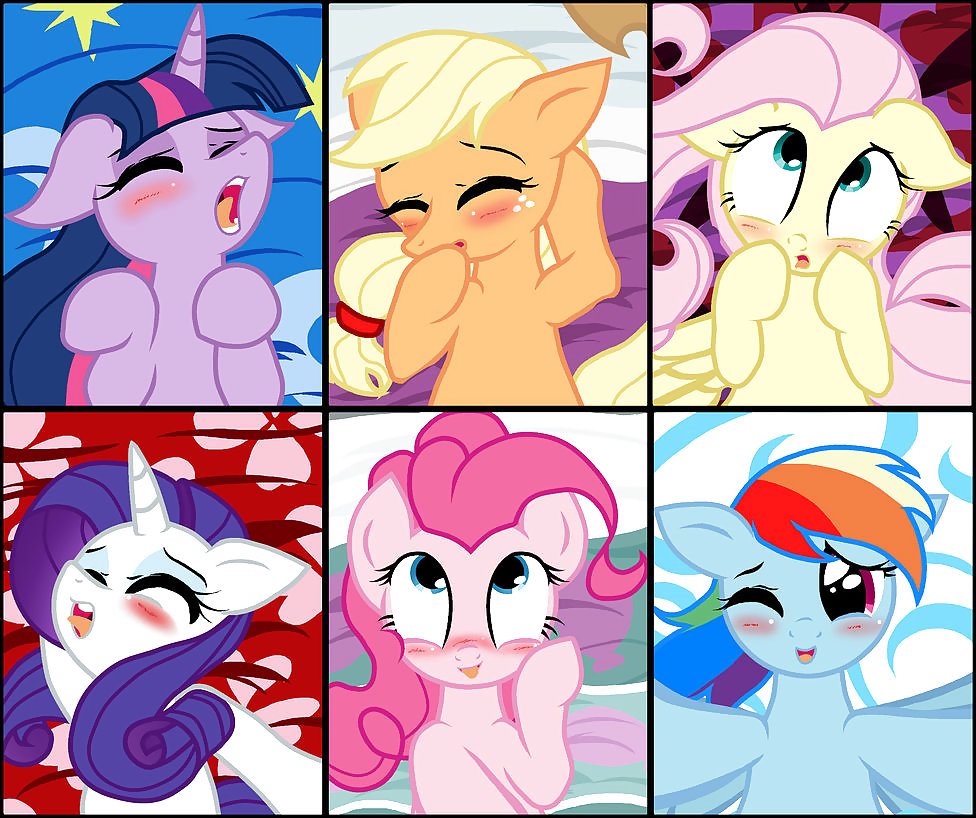MLP # 11 #17434430