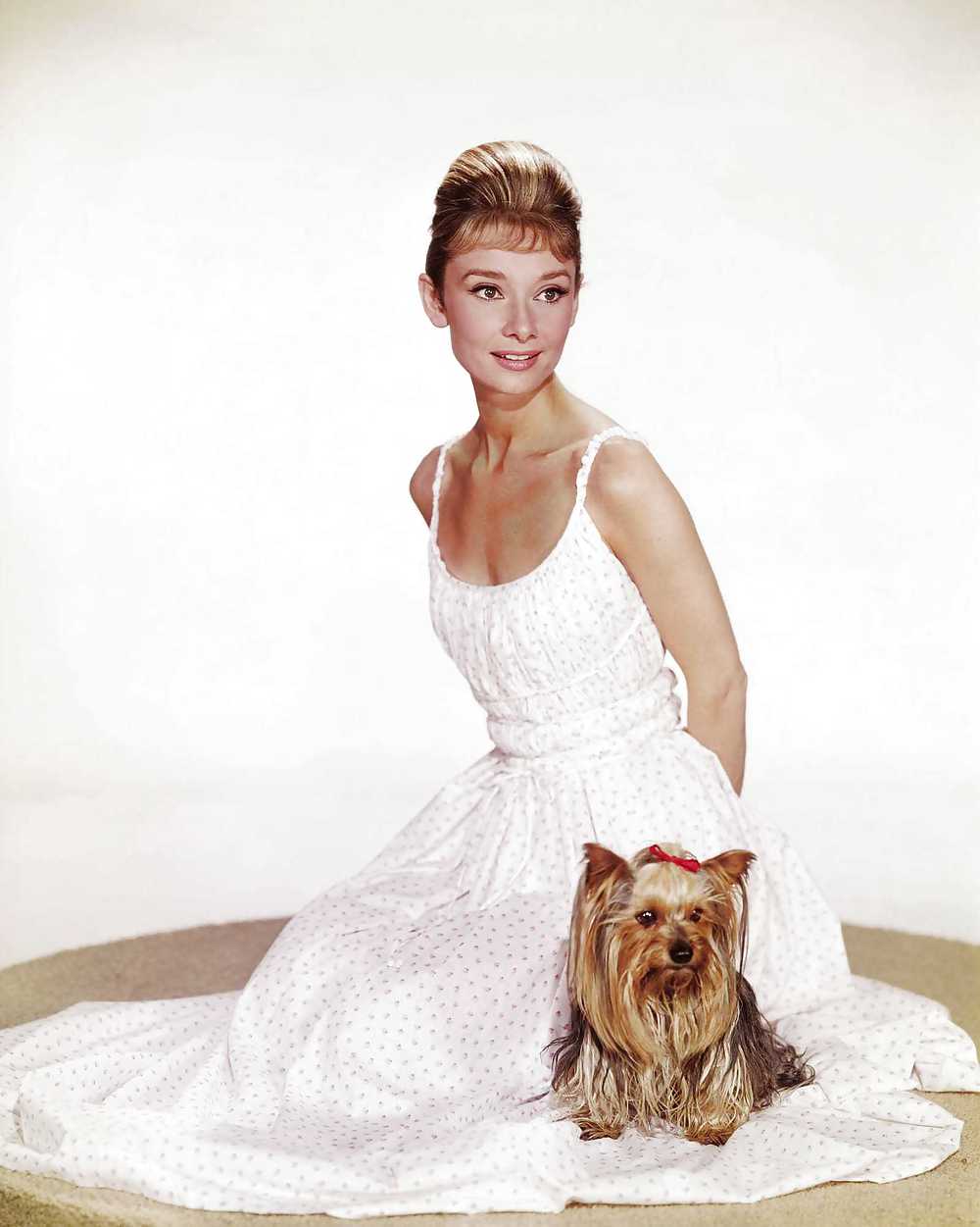 Classic Audrey Hepburn  #4980034