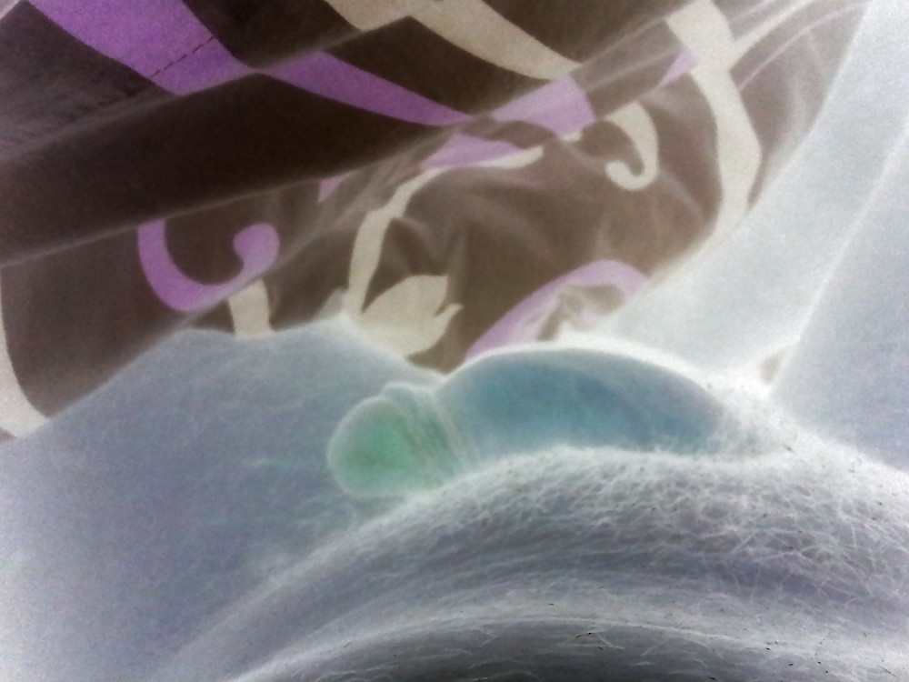 Negativos 
 #11607475