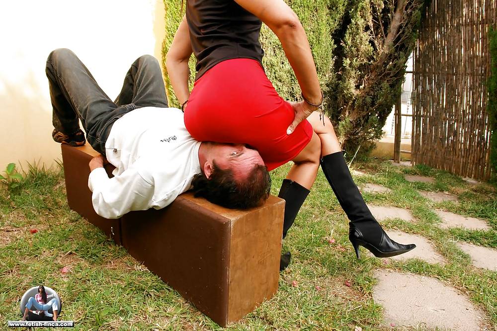 Facesitting Beste Position #608986