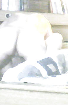 Stute wird besamt #11130746