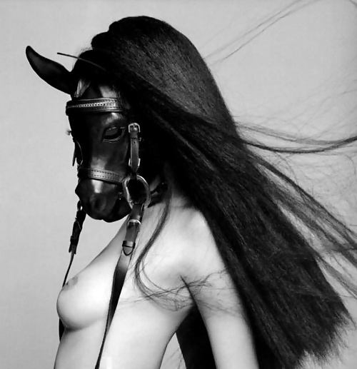 Pony-Girl 2! #11079849