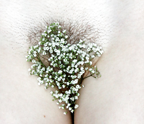 Art and Beauty #4587450