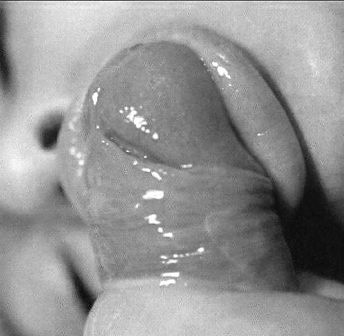 Mmmmmmm Oral  #4563328