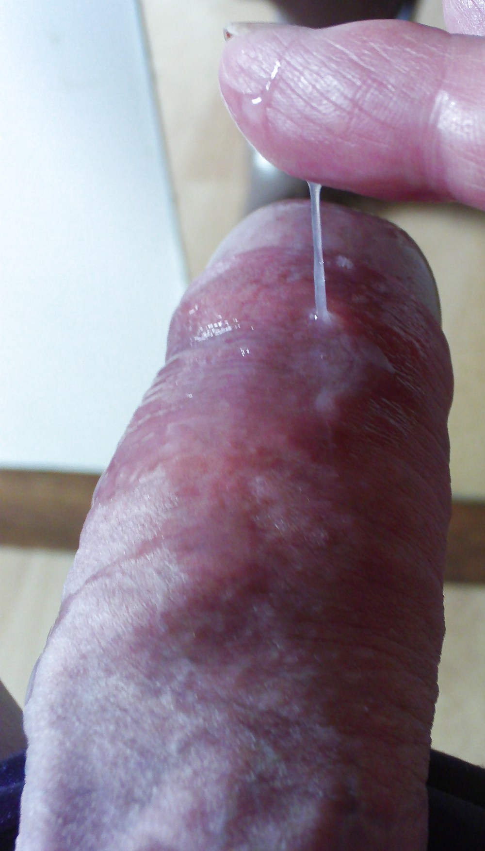 キュートなコック
 #18650572