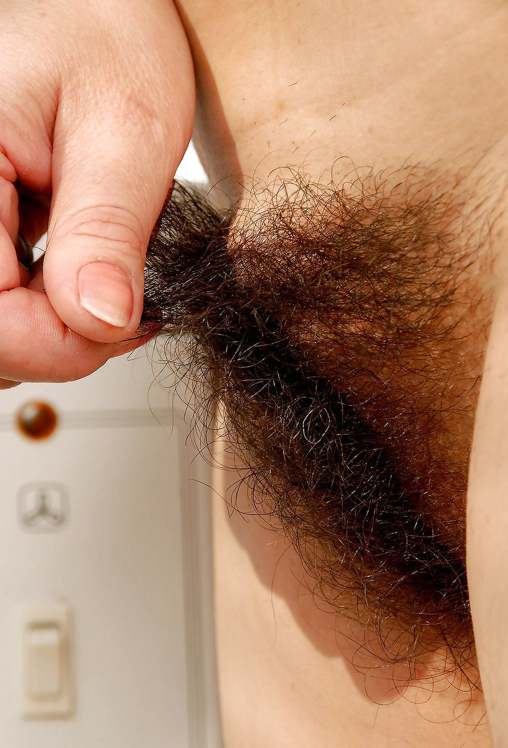 Frail Hairy 3 - Jotha Hele #9912889