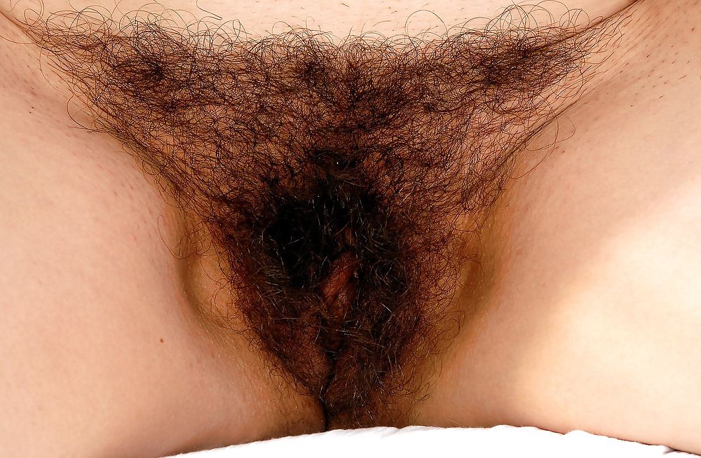 Frail Hairy 3 - Jotha Hele #9912922