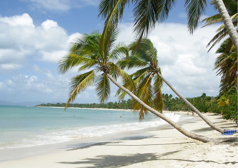 Playa de Martinica
 #18487037