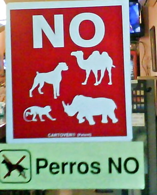 Extra Silly Pics!! :D