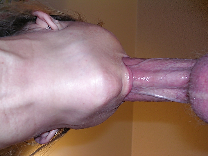 Cindysinx sucks  Fred Largehammer  #20243146