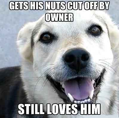 FUNNY #9501532